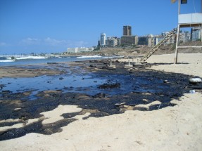 Photo of oil on a beach.