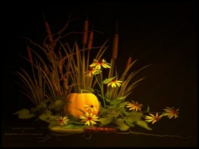 Photo of an autumn picture.