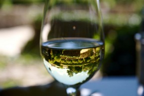 Bottle of wine.