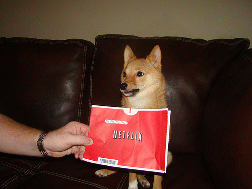 Netflix dog