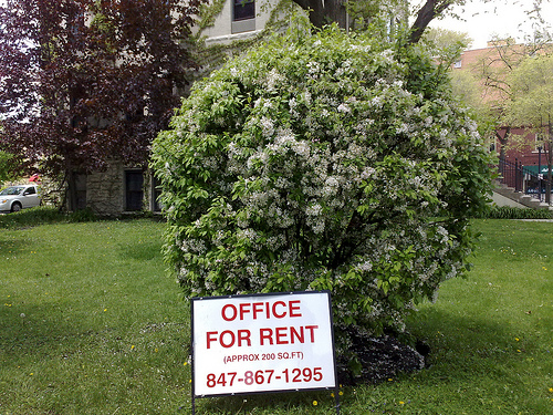 Office For Rent