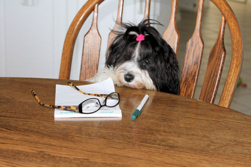 A forlorn, shaggy dog is seated at a table. Eyeglasses, a pad of paper and a pen are on the table in front of it.