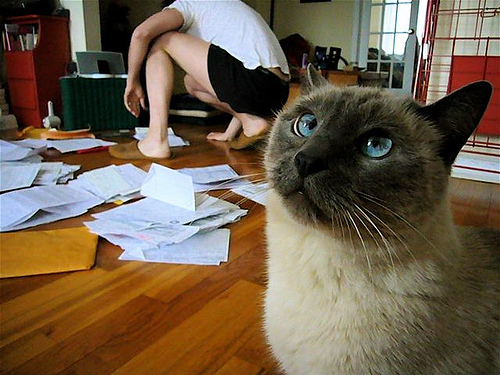 Tax day