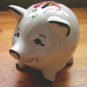 Piggy Bank Piggy Bank