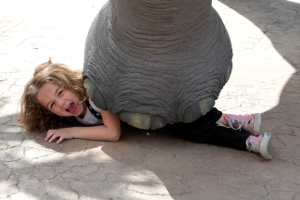babysitter It's looks as though a young girl is being squashed beneath an elephant's foot.