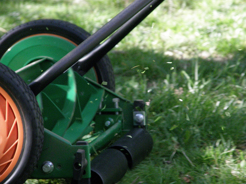 Push Mower