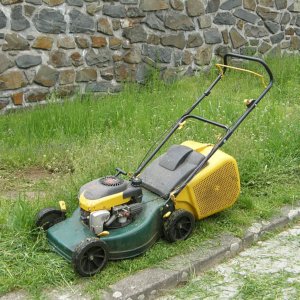 Lawn