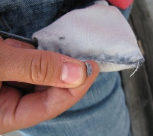 Pocket lint Pocket lint
