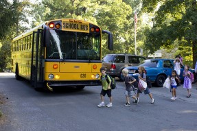 school bus driver school bus driver