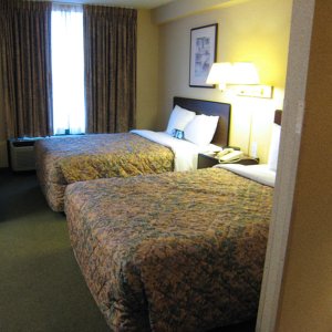 Hotel room Hotel room