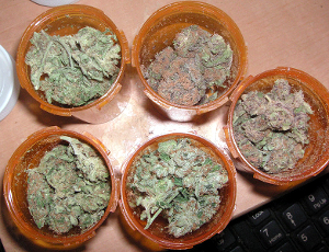 medicinal_marijuana Open pill bottles, filled with medicinal marijuana.