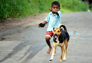 pets_make_kids_healthier A young boy running outside with his dog.