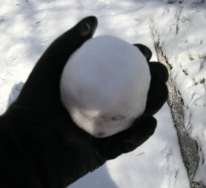 Snowball Snowball