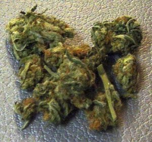 Pot Pot