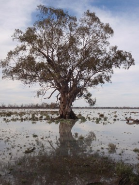 Lake Wallawalla in the Murray Sunset National Park