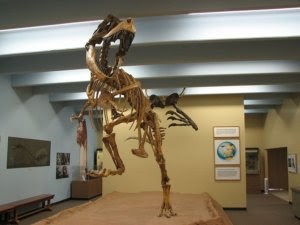 Tarbosaurus Tarbosaurus
