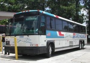 Greyhound