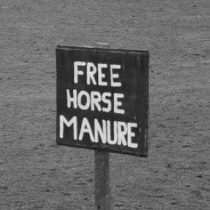 Manure