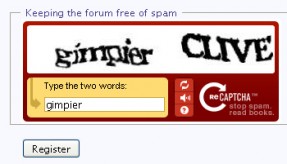 A Captcha box.