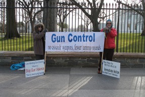 gun control