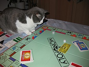 Monopoly cat