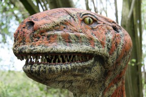 dinosaur