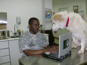 Spc. Jerome Jackson, patient administrator for the 51st Medical Detachment (Veterinary Medicine), registers a military working dog at the veterinary clinic at Balad Airfield, Iraq. [Photo courtesy of the 51st Medical Detachment (Veterinary Medicine)]