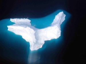 Iceberg