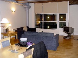 A furnished apartment living room with wood flooring.